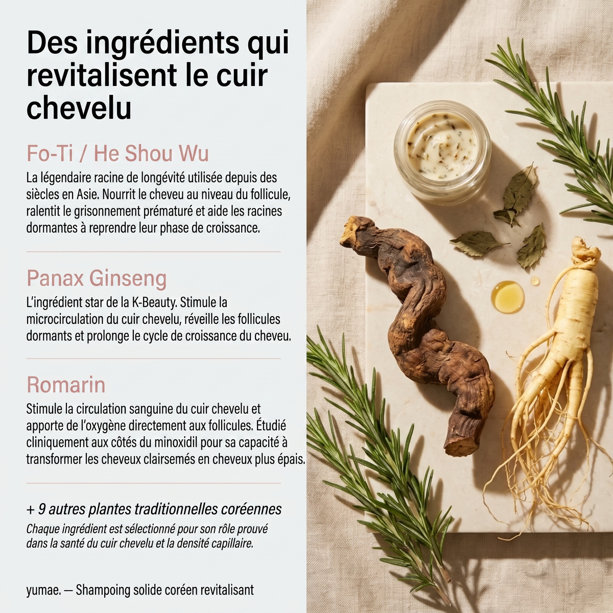 La Barre Coréenne Revitalisante — Cuir Chevelu